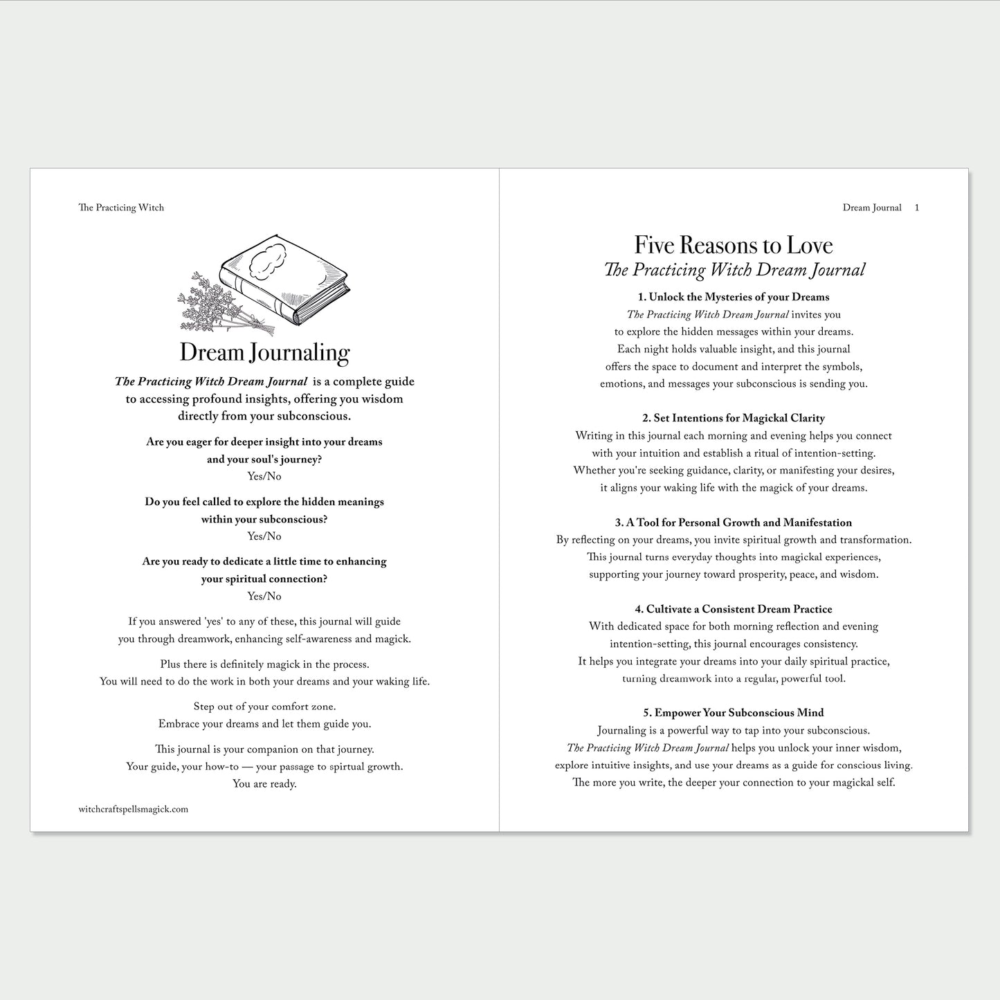 The Practicing Witch DREAM Journal. Discover the Magick of your Dreams