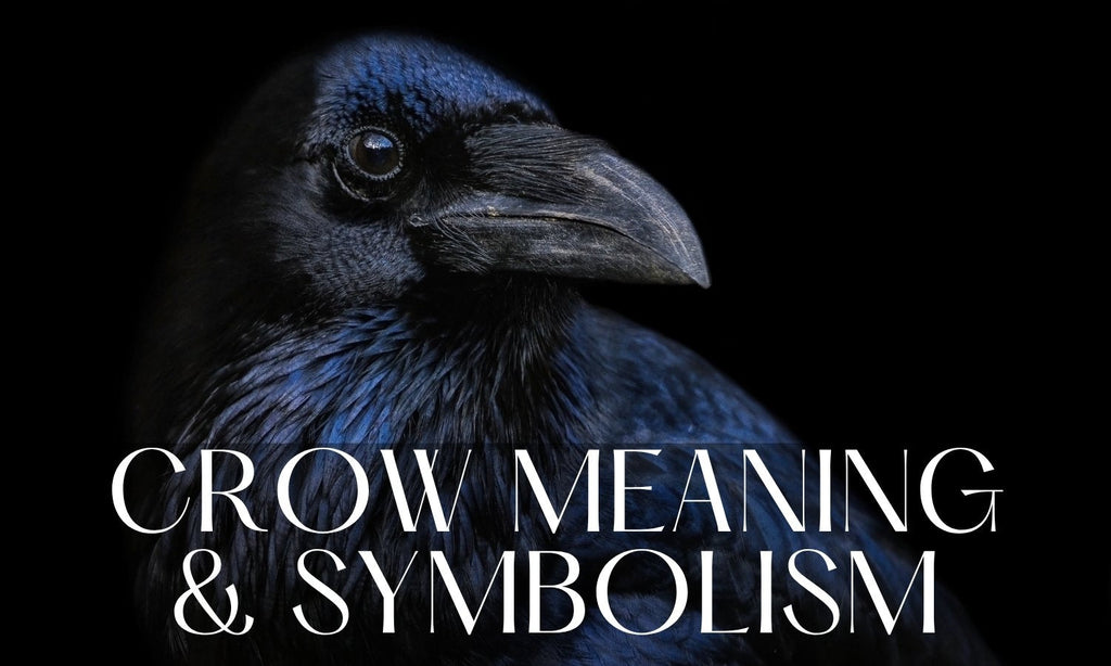 Crow Symbolism in Witchcraft: A Witch’s Guide to Magick & Meaning
