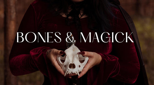 Exploring the Use of Bones in Witchcraft & Magick