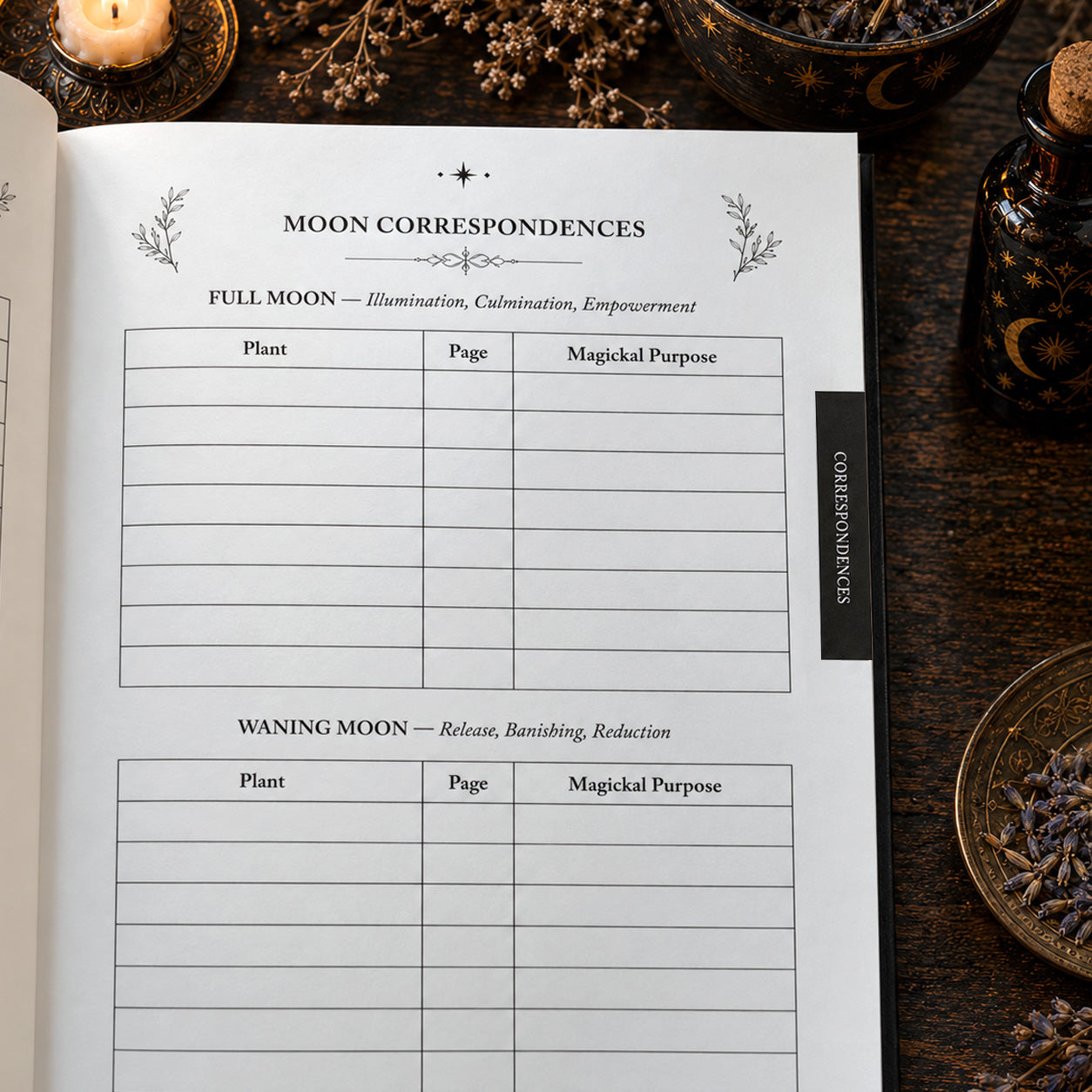 The Practicing Witch Botanical Grimoire | Plant Magick