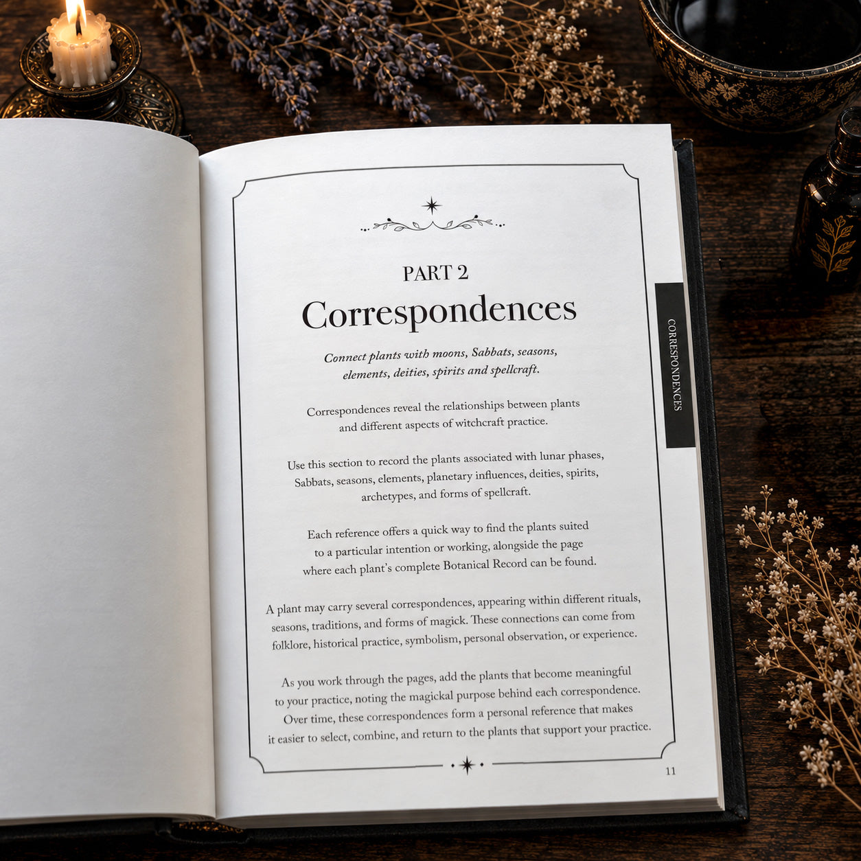 The Practicing Witch Botanical Grimoire | Plant Magick