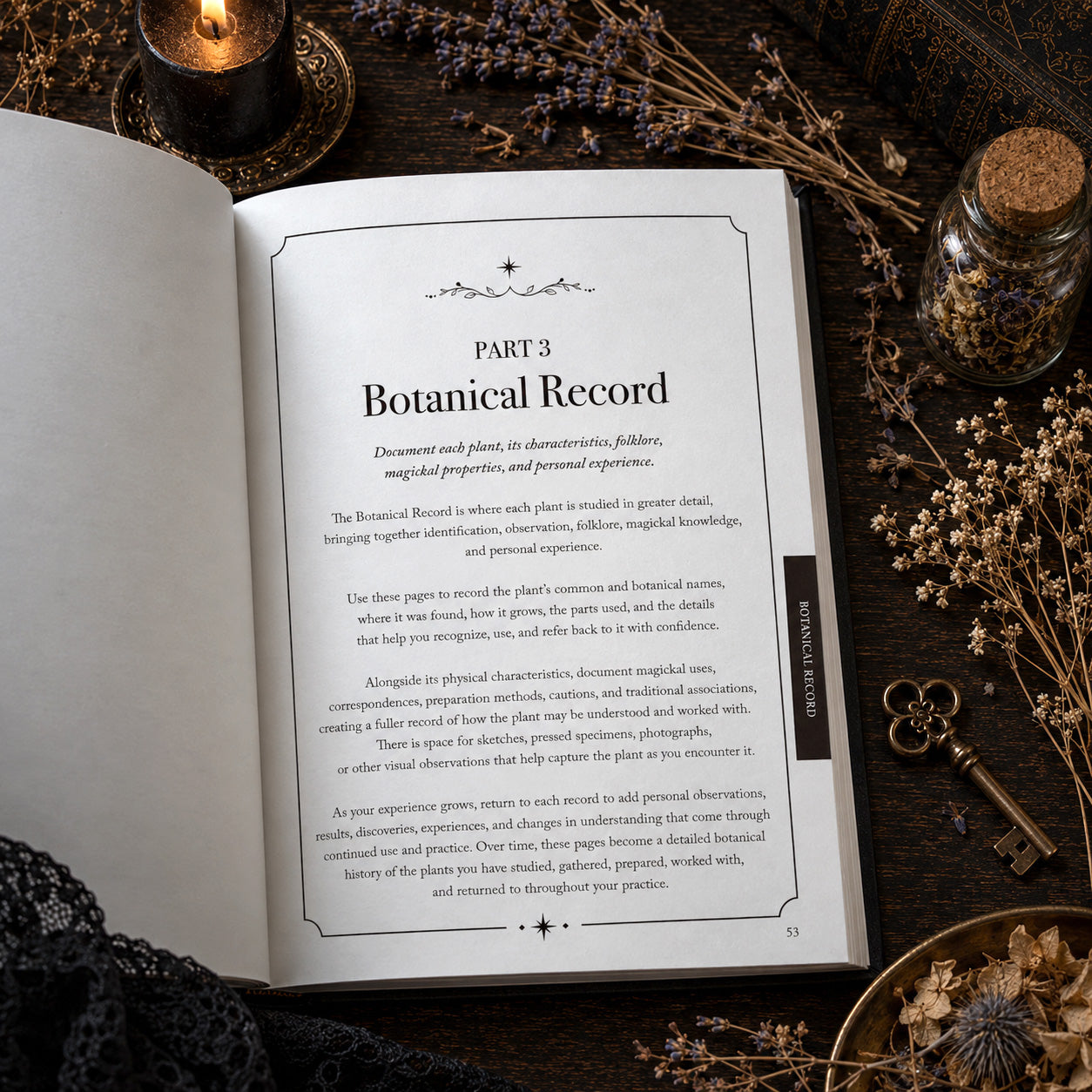 The Practicing Witch Botanical Grimoire | Plant Magick