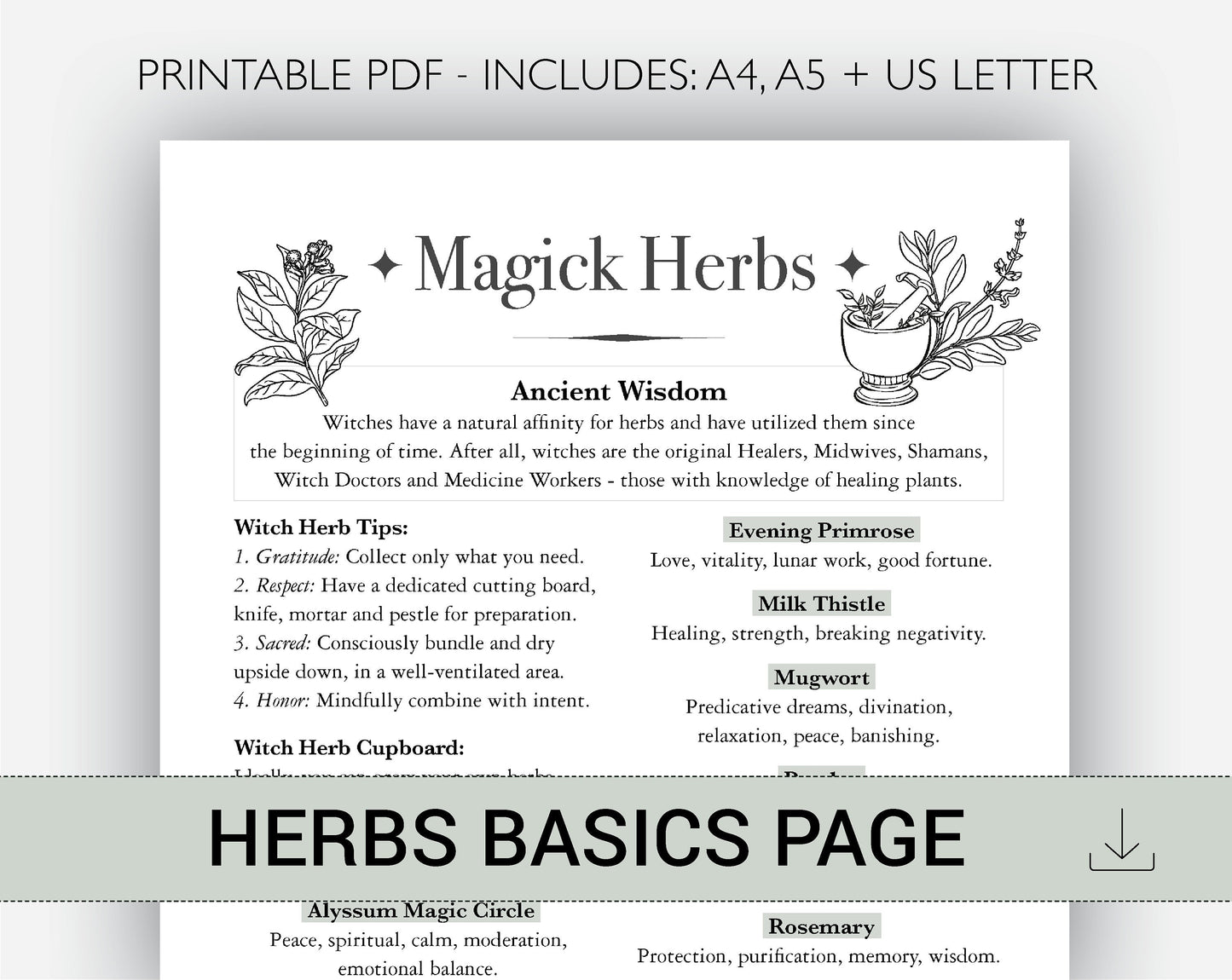 Magick Herbs - Witches Herb Glossary